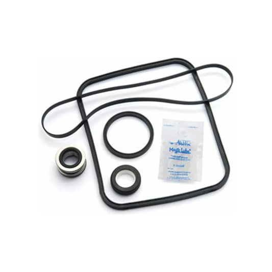 Aladdin Pump Repair Kit, for PacFab Pinnacle | GO-KIT24