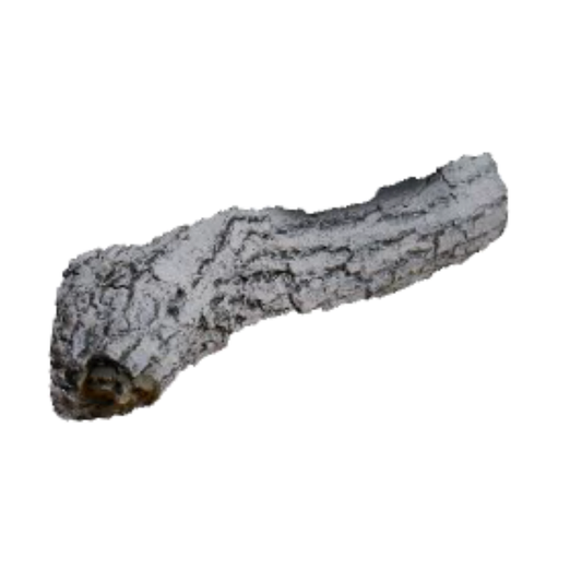 Ortal LOGCONTSPLIT1250SIL Silver Birch Split log set for E-lectra50