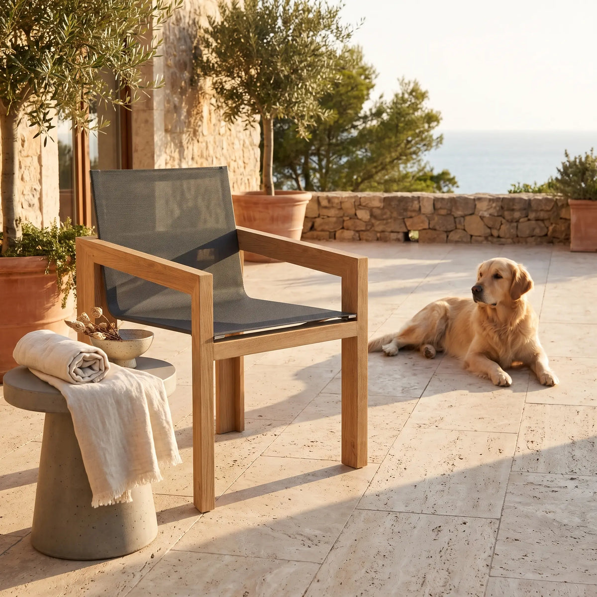 Anderson Teak Smyrna Dining Armchair