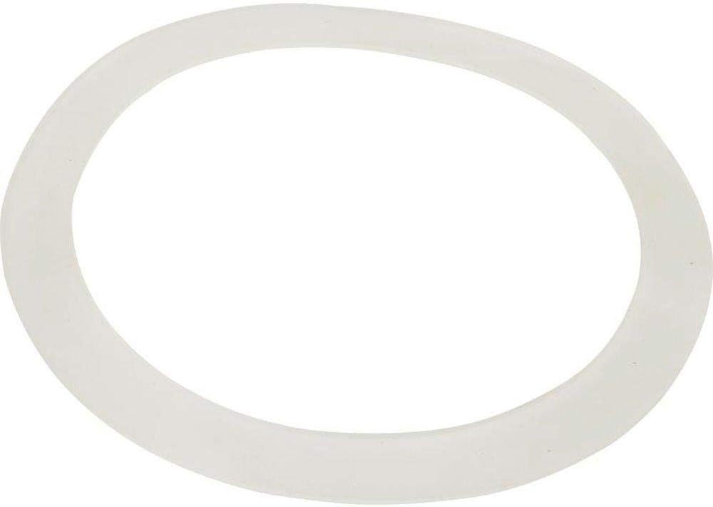 Waterway Plastics Gasket, for Old Faithful Jets, model 711-7300