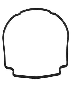 Waterway Plastics Mini SVL Champion Faceplate Gasket, model 806-1400