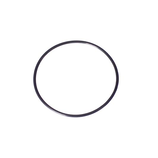 Zodiac G58 Back Up Valve O-Ring Replacement Kit