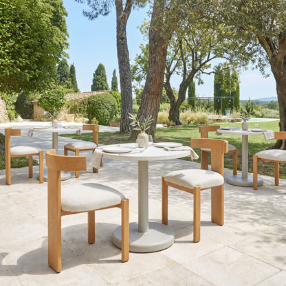 Tiana Outdoor Patio Dining Chair, Natural & Beige
